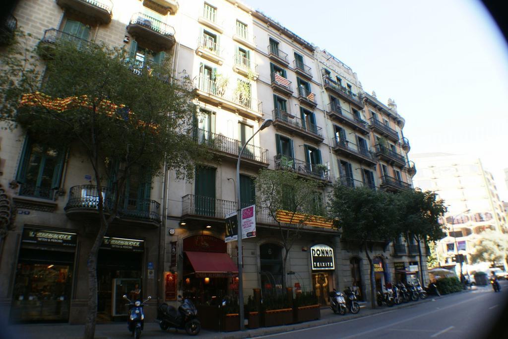 Flateli Lluria * Barcellona